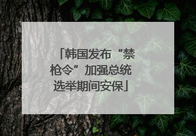 韩国发布“禁枪令”加强总统选举期间安保