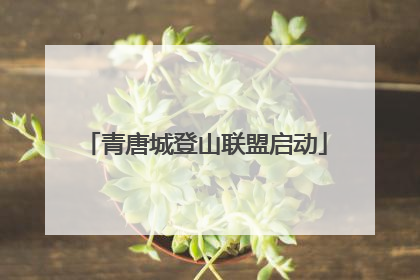 青唐城登山联盟启动