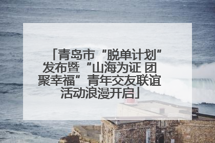 青岛市“脱单计划”发布暨“山海为证 团聚幸福”青年交友联谊活动浪漫开启