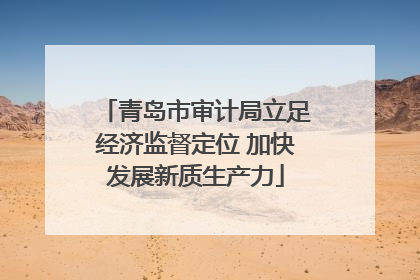 青岛市审计局立足经济监督定位 加快发展新质生产力