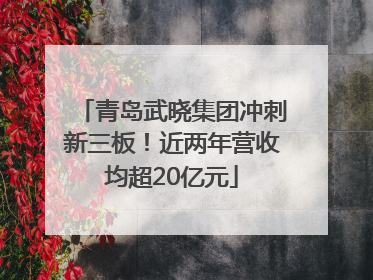 青岛武晓集团冲刺新三板！近两年营收均超20亿元