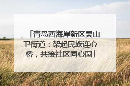 青岛西海岸新区灵山卫街道：架起民族连心桥，共绘社区同心圆