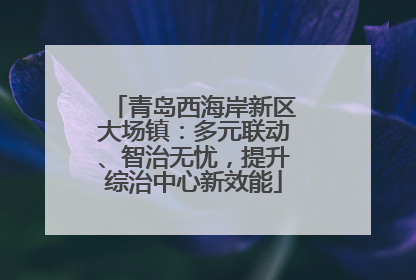 青岛西海岸新区大场镇：多元联动、智治无忧，提升综治中心新效能