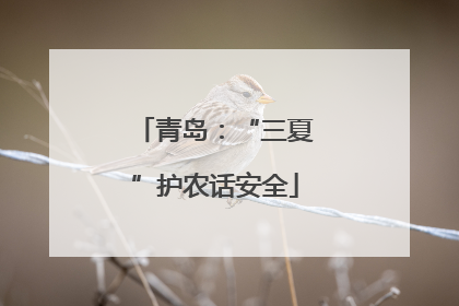 青岛：“三夏”护农话安全
