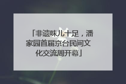 非遗味儿十足，潘家园首届京台民间文化交流周开幕
