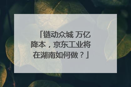 链动众城 万亿降本，京东工业将在湖南如何做？