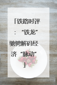铁路时评：“铁龙”驰骋解码经济“脉动”