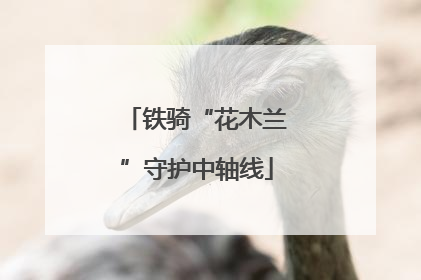 铁骑“花木兰”守护中轴线