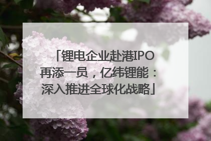 锂电企业赴港IPO再添一员，亿纬锂能：深入推进全球化战略