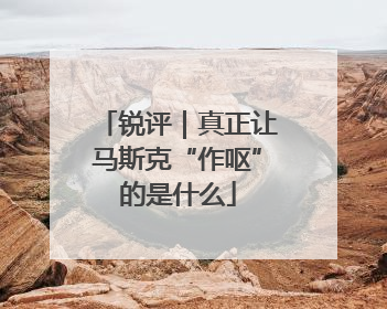 锐评｜真正让马斯克“作呕”的是什么