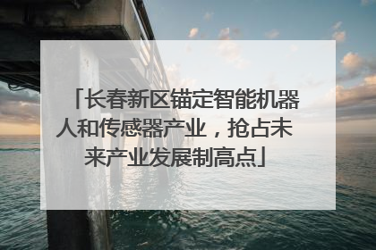 长春新区锚定智能机器人和传感器产业，抢占未来产业发展制高点