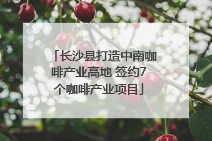 长沙县打造中南咖啡产业高地 签约7个咖啡产业项目