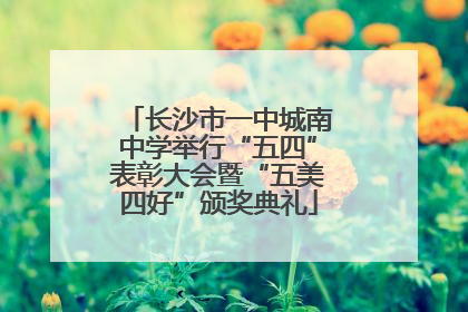 长沙市一中城南中学举行“五四”表彰大会暨“五美四好”颁奖典礼