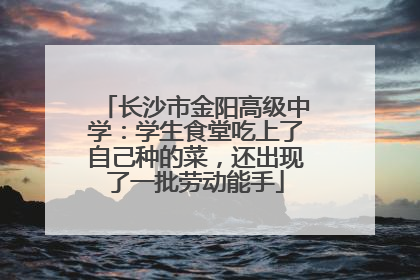 长沙市金阳高级中学：学生食堂吃上了自己种的菜，还出现了一批劳动能手