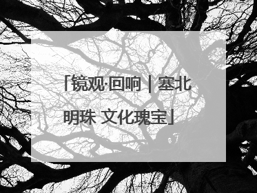 镜观·回响｜塞北明珠 文化瑰宝