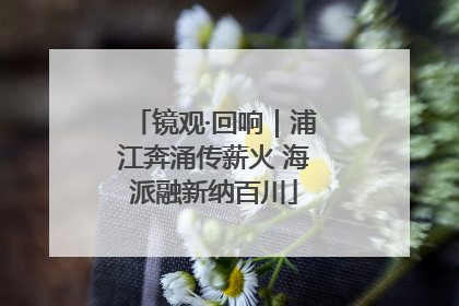镜观·回响｜浦江奔涌传薪火 海派融新纳百川