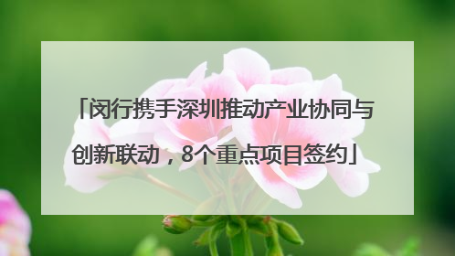 闵行携手深圳推动产业协同与创新联动，8个重点项目签约