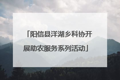 阳信县洋湖乡科协开展助农服务系列活动