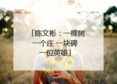 陈文彬：一棵树 一个庄 一块碑 一位英雄
