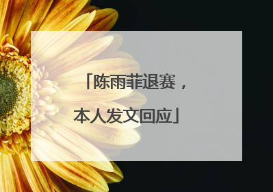 陈雨菲退赛，本人发文回应
