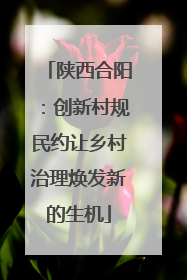 陕西合阳：创新村规民约让乡村治理焕发新的生机