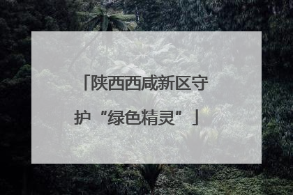 陕西西咸新区守护“绿色精灵”