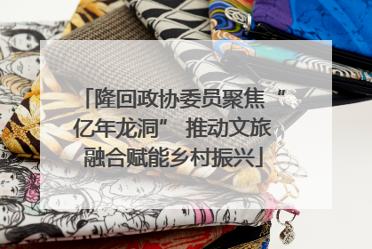 隆回政协委员聚焦“亿年龙洞” 推动文旅融合赋能乡村振兴