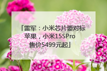 雷军：小米芯片要对标苹果，小米15SPro售价5499元起