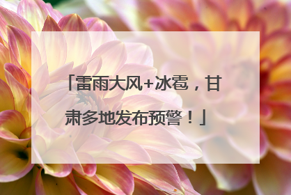 雷雨大风+冰雹，甘肃多地发布预警！