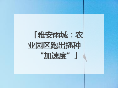 雅安雨城：农业园区跑出播种“加速度”