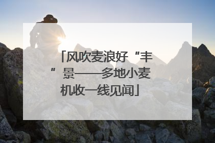 风吹麦浪好“丰”景——多地小麦机收一线见闻