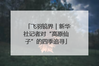 飞羽镜界｜新华社记者对“高原仙子”的四季追寻