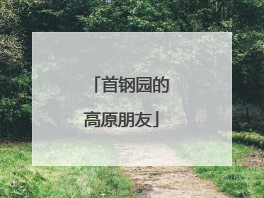 首钢园的高原朋友