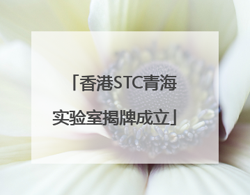 香港STC青海实验室揭牌成立