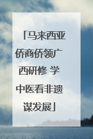 马来西亚侨商侨领广西研修 学中医看非遗谋发展