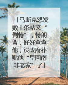 马斯克怒发数十条帖文“倒特”，特朗普：好好查查他，没政府补贴他“早回南非老家”了