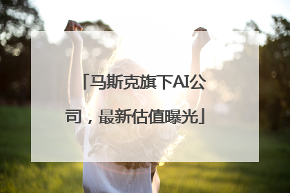马斯克旗下AI公司，最新估值曝光