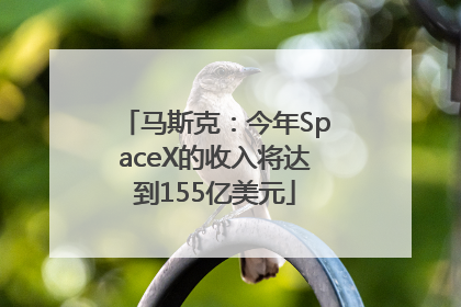 马斯克：今年SpaceX的收入将达到155亿美元