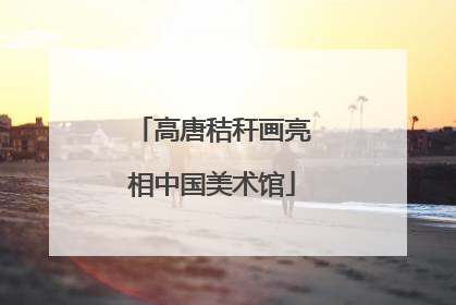 高唐秸秆画亮相中国美术馆