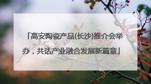 高安陶瓷产品(长沙)推介会举办，共话产业融合发展新篇章