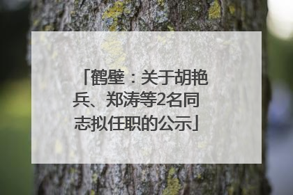 鹤壁：关于胡艳兵、郑涛等2名同志拟任职的公示