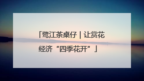 鹭江茶桌仔｜让赏花经济“四季花开”
