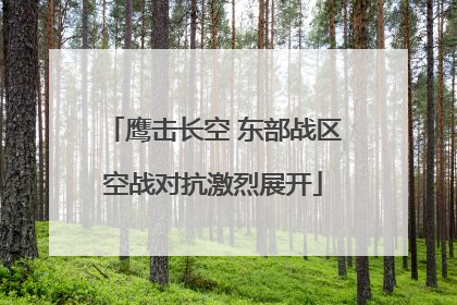 鹰击长空 东部战区空战对抗激烈展开