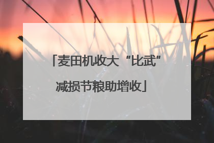 麦田机收大“比武” 减损节粮助增收