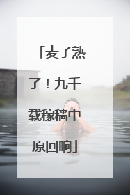 麦子熟了！九千载稼穑中原回响