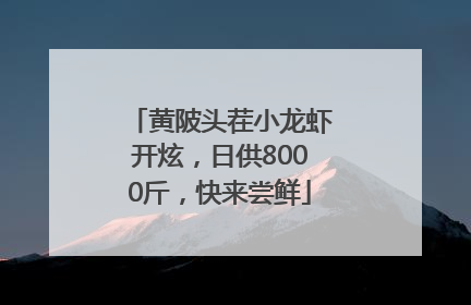 黄陂头茬小龙虾开炫，日供8000斤，快来尝鲜