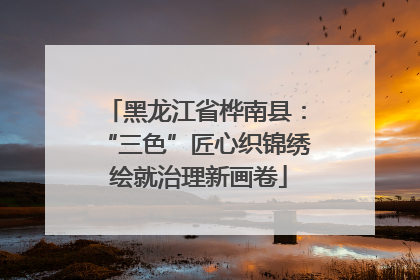 黑龙江省桦南县：“三色”匠心织锦绣 绘就治理新画卷
