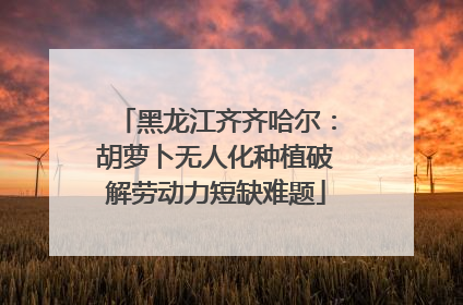 黑龙江齐齐哈尔：胡萝卜无人化种植破解劳动力短缺难题