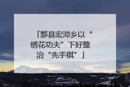 黟县宏潭乡以“绣花功夫”下好整治“先手棋”