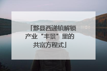 黟县西递镇解锁产业“丰景”里的共富方程式